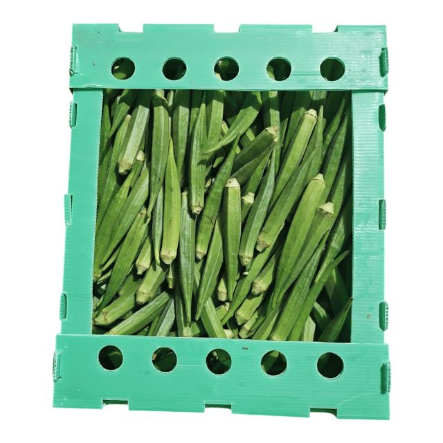 Okra Box 12-14 LBS