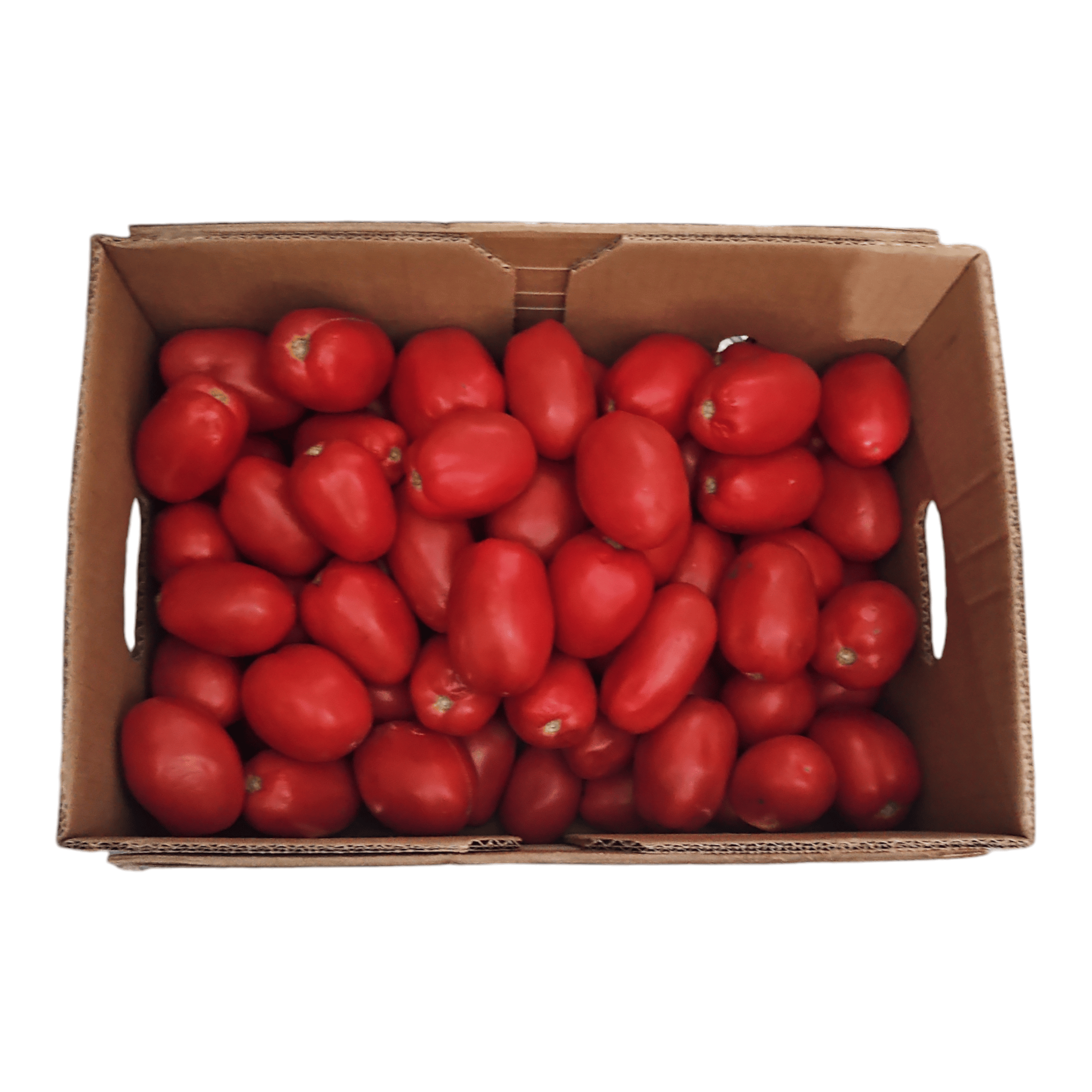 Tomato Box 25 LBS