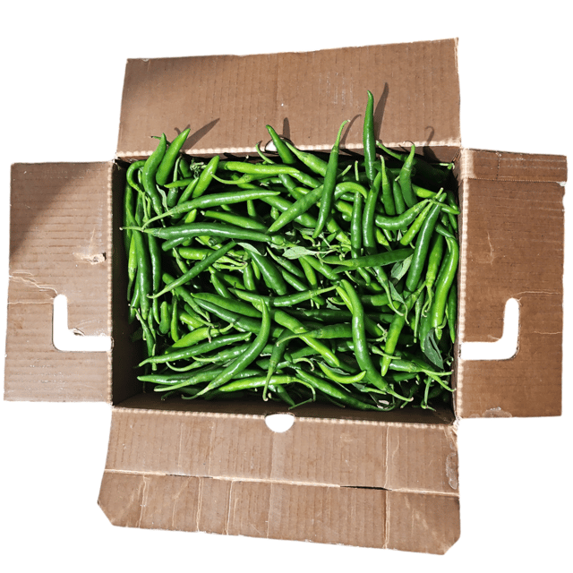 Long Chilli Box 10 LB