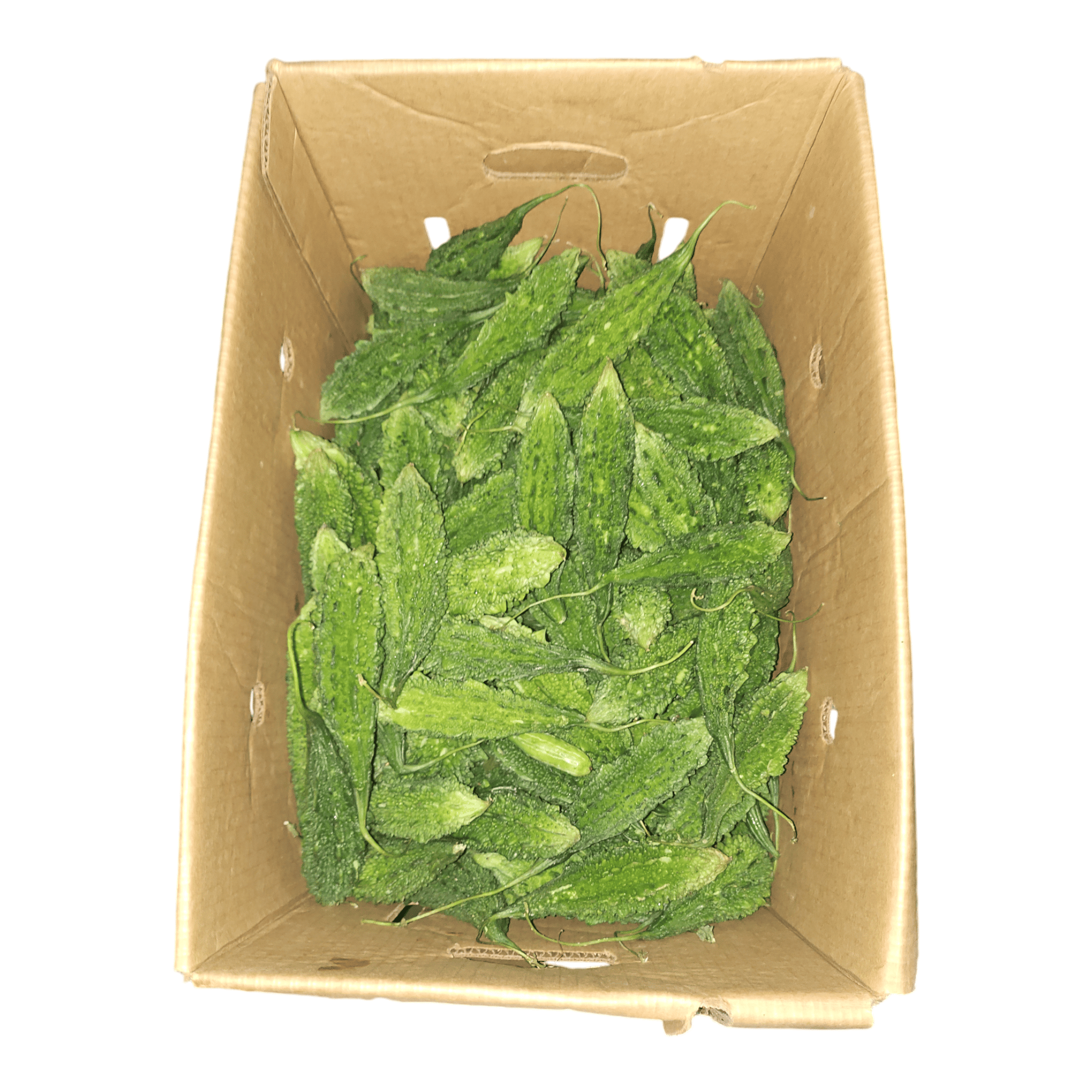 Karela Box 15 LB