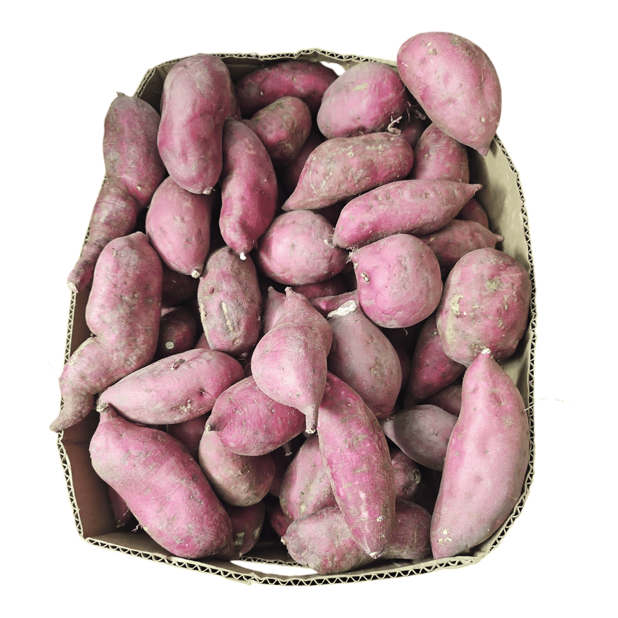 Sweet Potato Box 20 LB