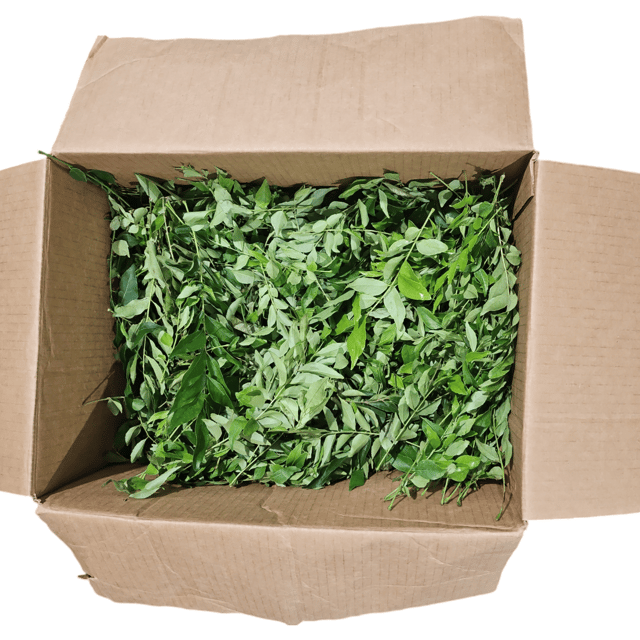 Curry Leaves 1 LB