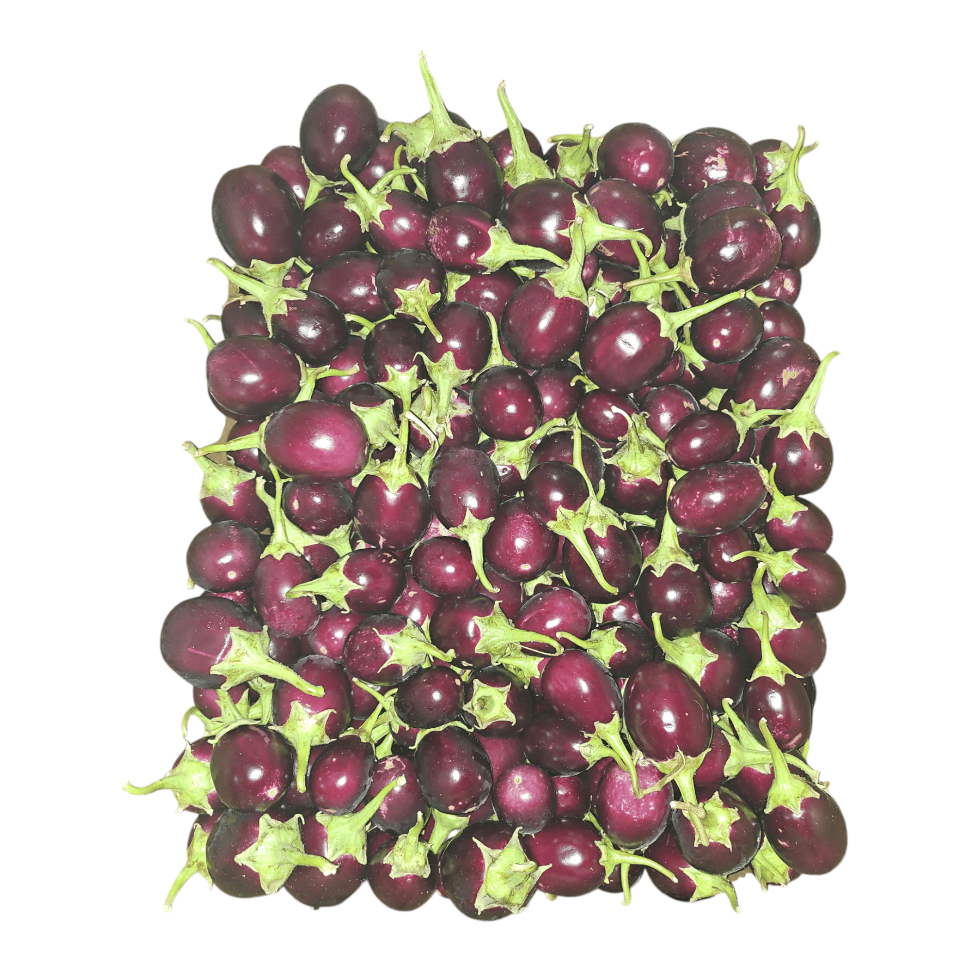 Indian Eggplant - 15 LB