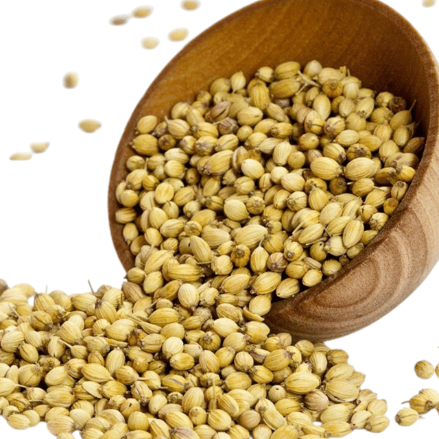 Coriander Seeds 4.37 LB