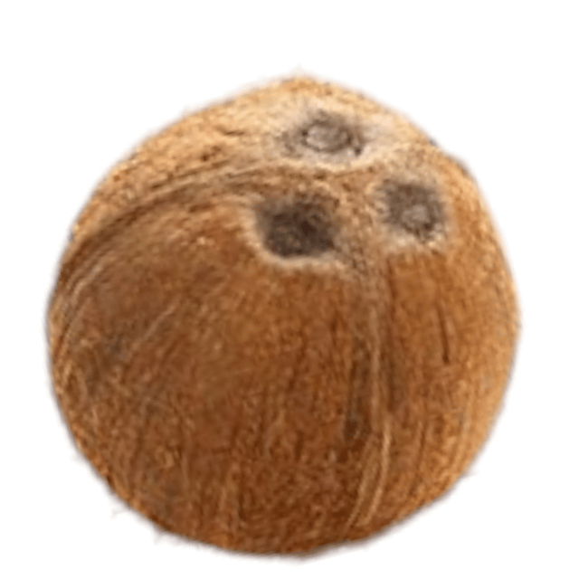 Dry Coconut (20 CT)