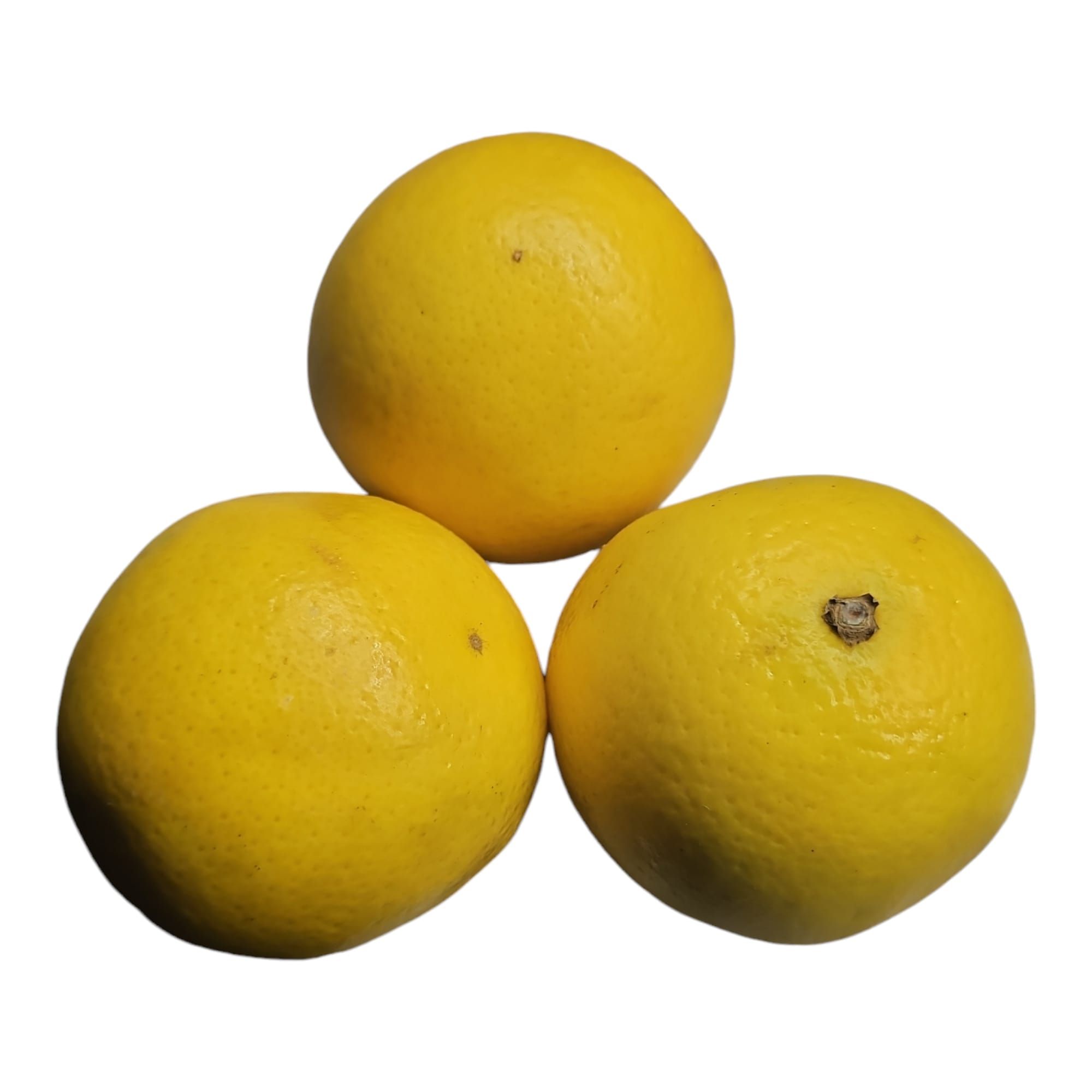 Valencia Orange 3 CT