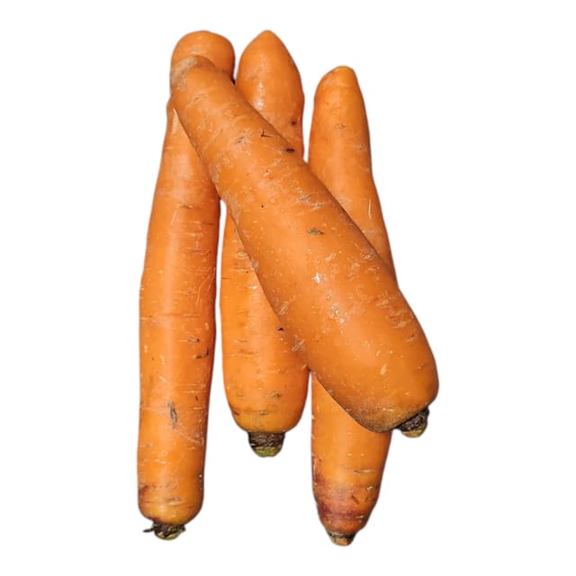 Rochon Jumbo Carrot 1 LB