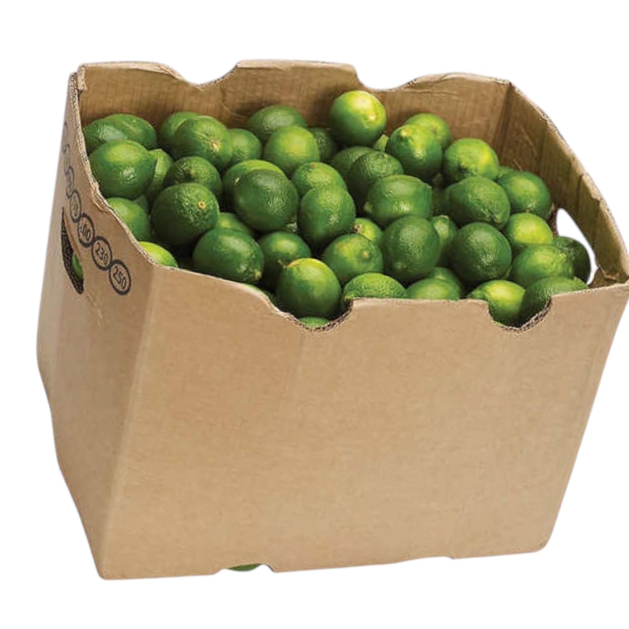 Lime Box 15 LB