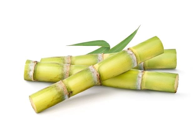 Sugar Cane cut - 3 pieces